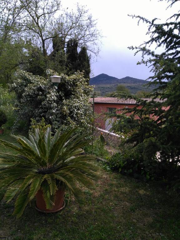 Agriturismo Usurtala Orani Buitenkant foto