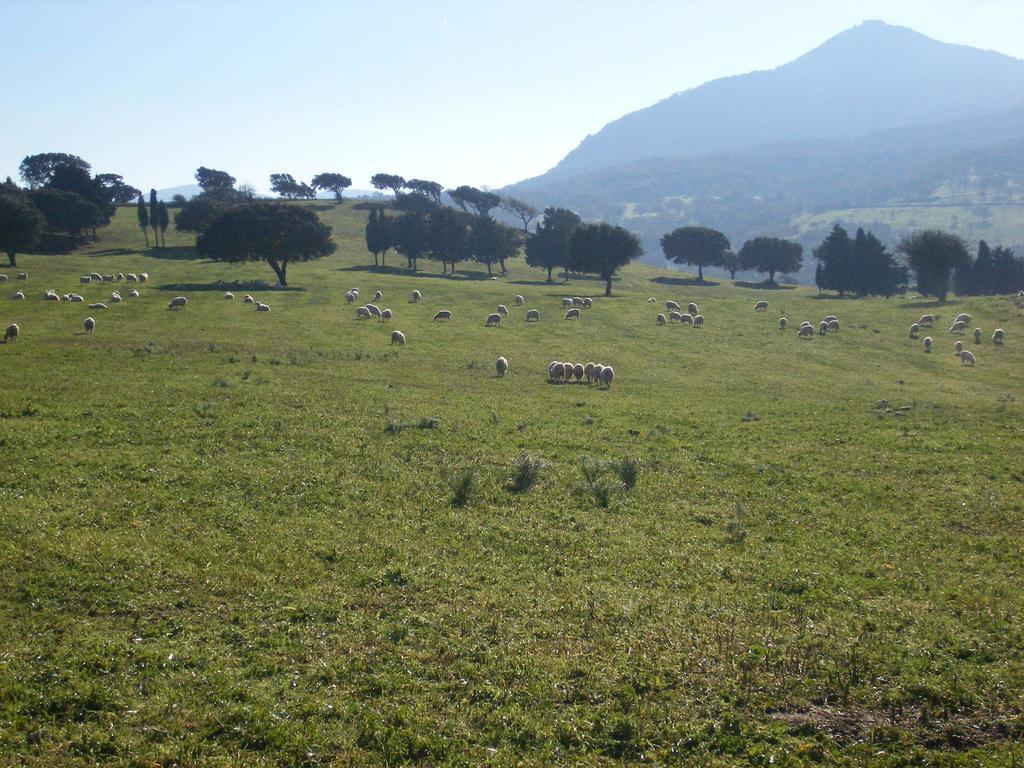 Agriturismo Usurtala Orani Buitenkant foto